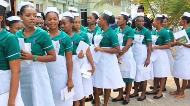 Private Training Boom Fuels Health Sector Job Crisis